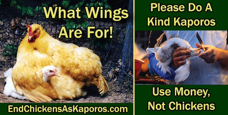 kind kaporos billboard