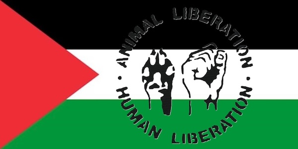 liberation for all