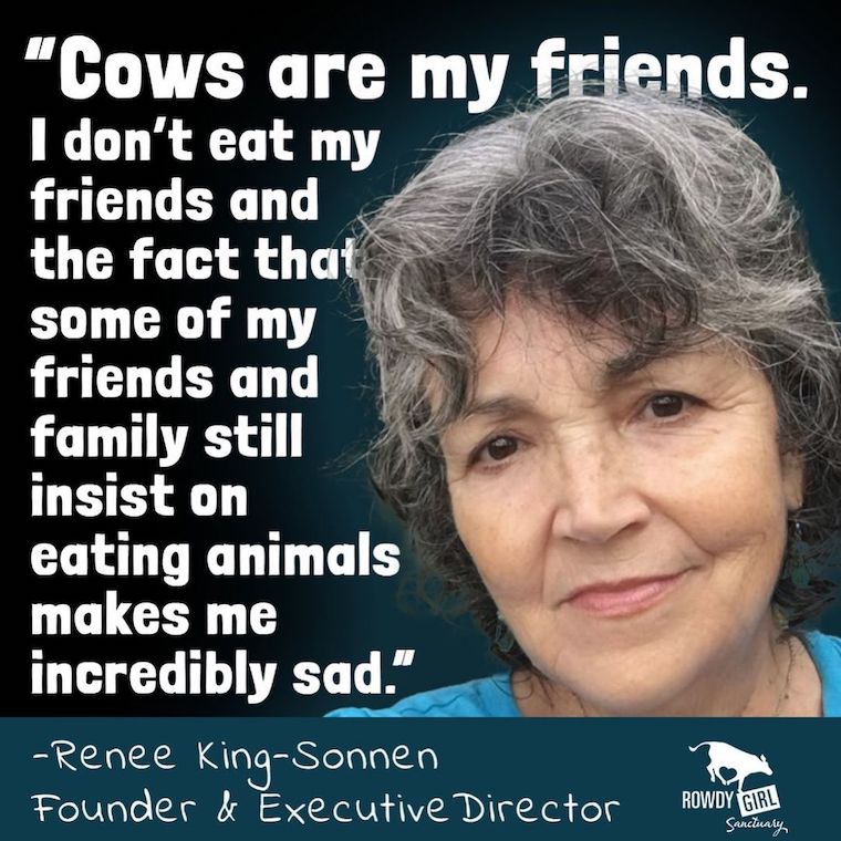 Renee King-Sonnen