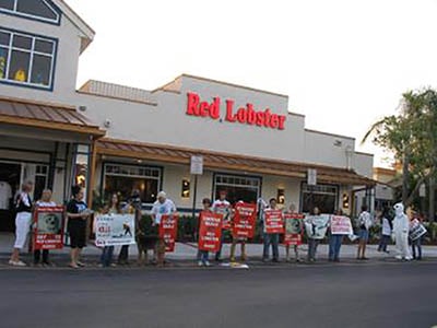 protest in front of Red Lobster