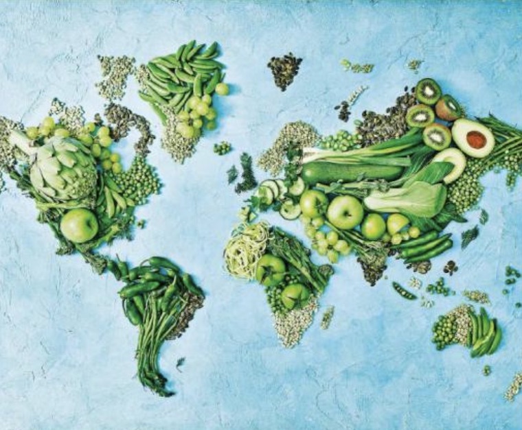 Rethinking Food and Agriculture
