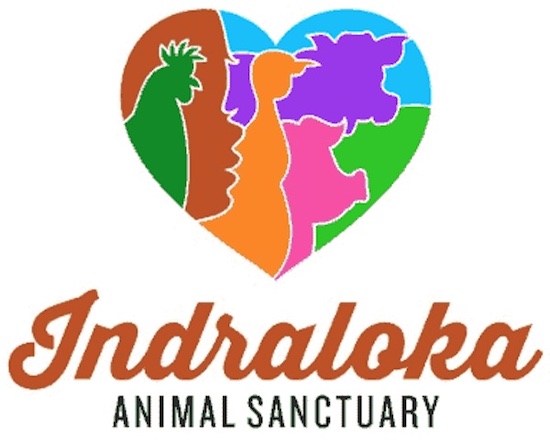 Indraloka sanctuary