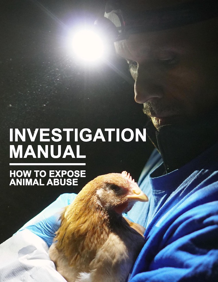 investigation manual