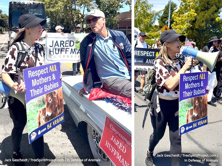 vegan in parade