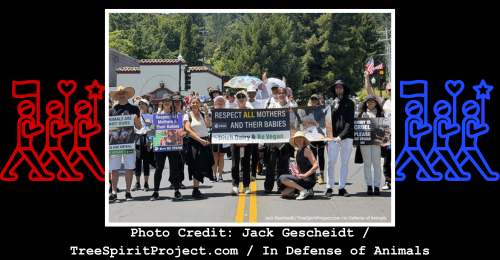 vegans at parade