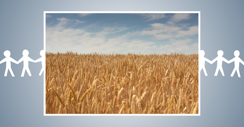 field of wheat and paper dolls