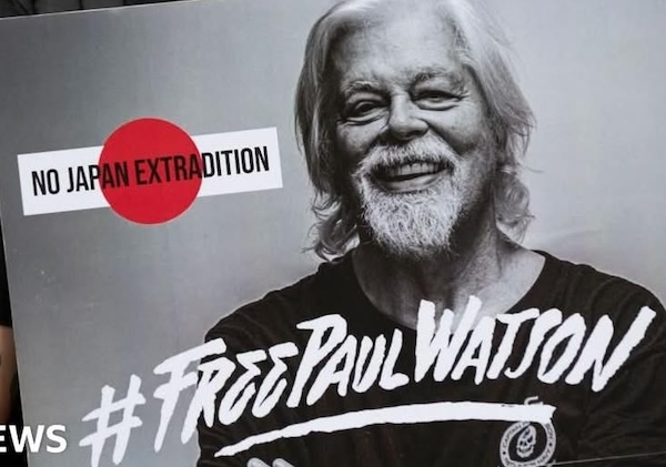 Paul Watson is free