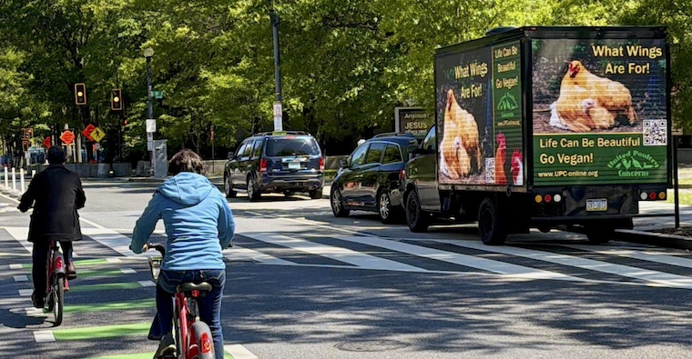chicken ad on truck