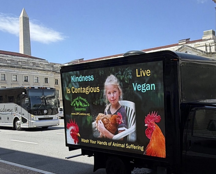 chicken ad on truck
