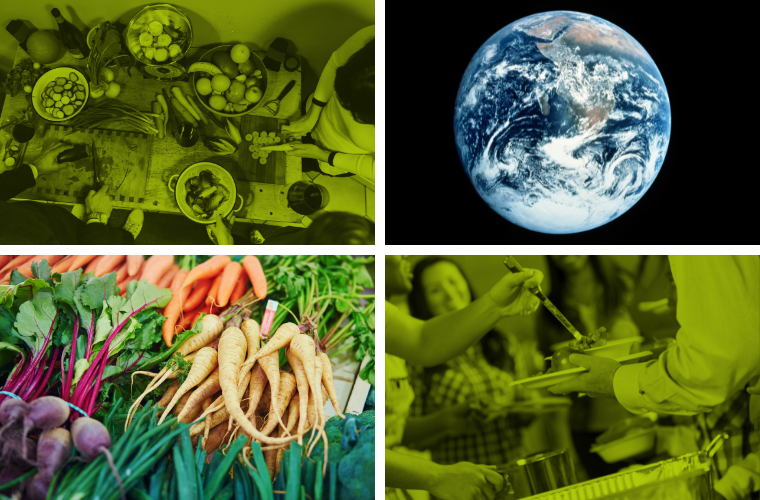 cooking together, serving food, Earth, and vegetables