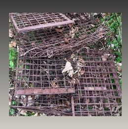 destroyed traps