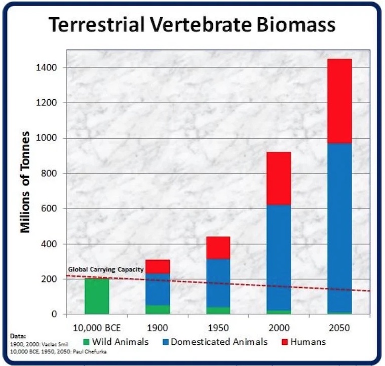 biomass