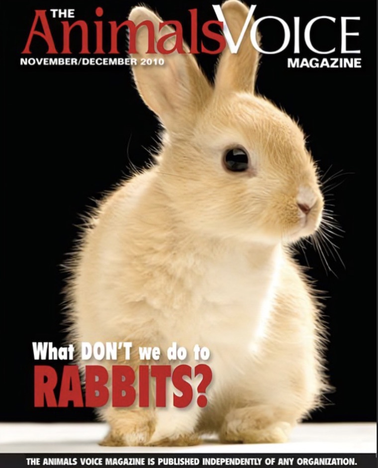 The Animals Voice Magazine: Back Issues Are Now Online!
