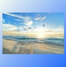 beach and sky