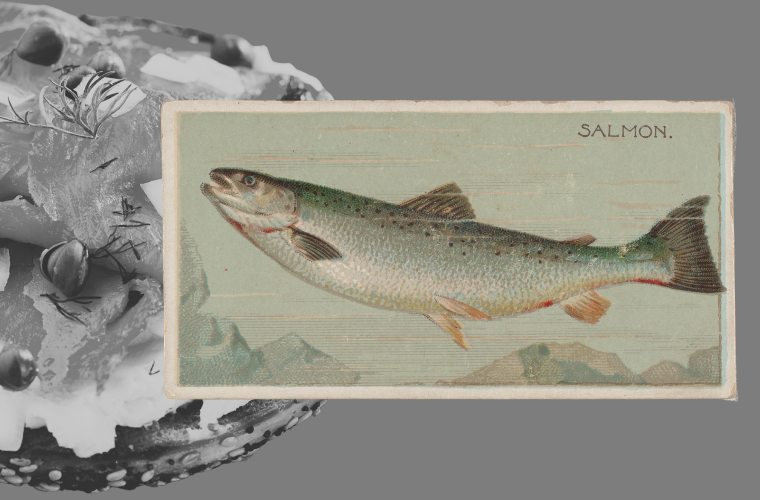 bagel with lox and salmon lithograph