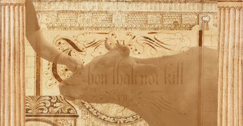 words thou shalt not kill and human petting cow