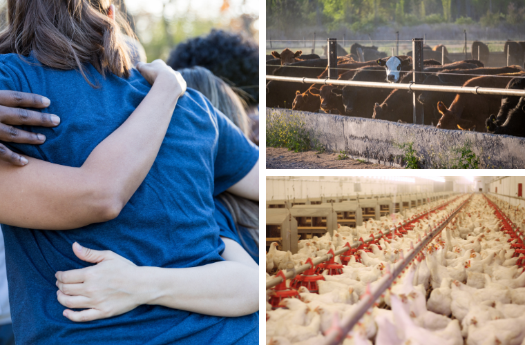 humans in a huddle and cows and chickens in factory farms