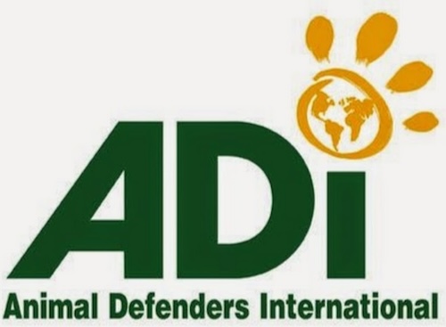 animal defenders international
