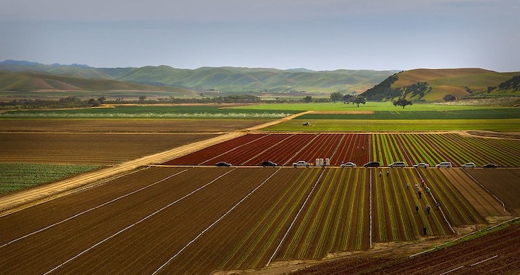 veganic agriculture