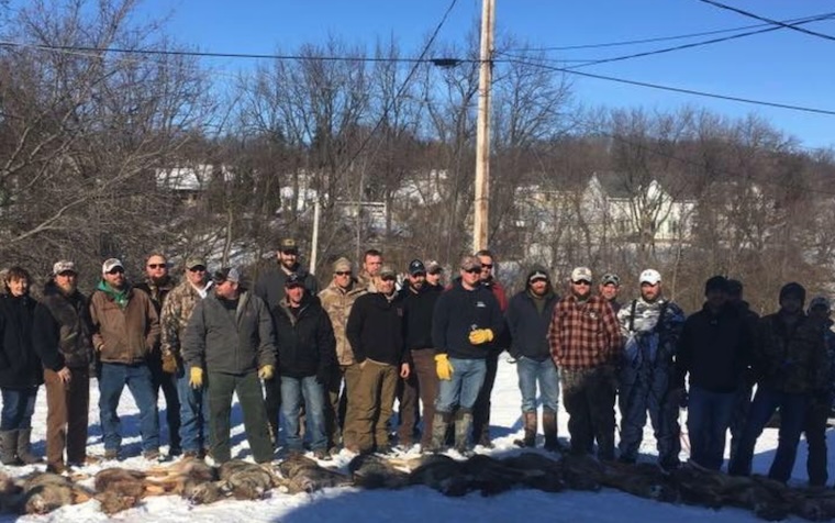 coyote killing contest