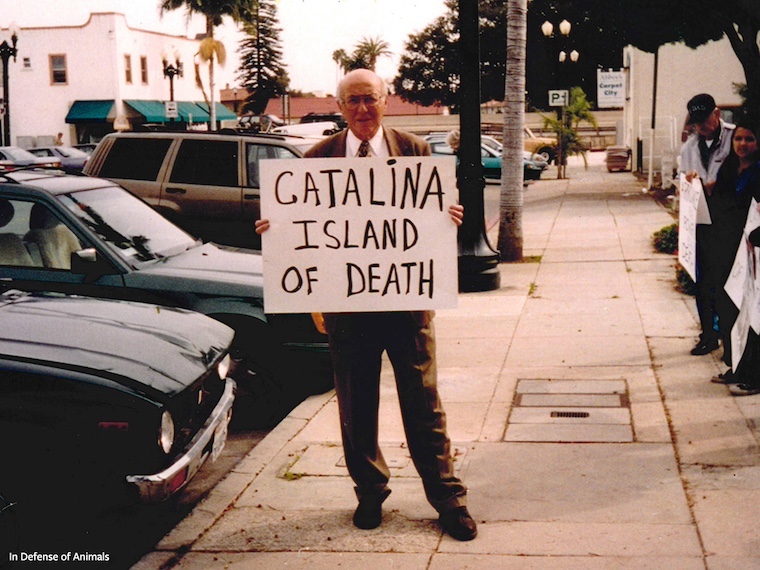 protester with sign reading 'CATALINA ISLAND OF DEATH'