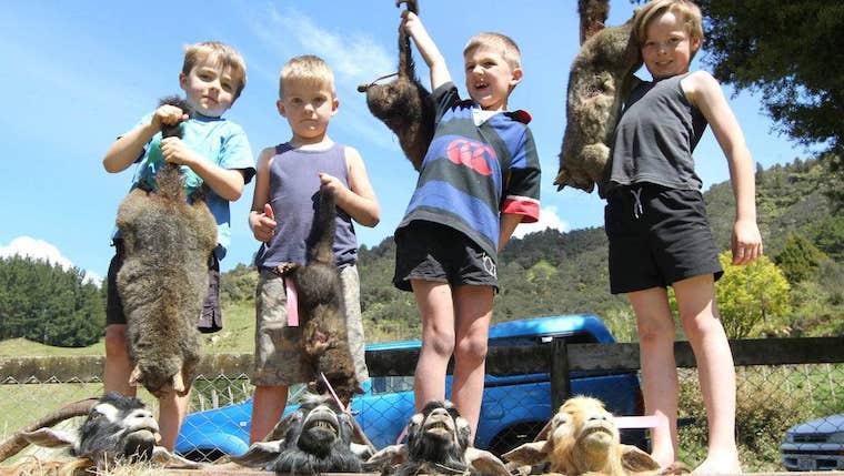 children kill possums