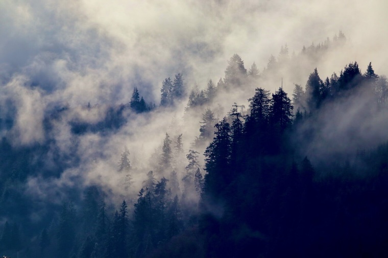 Willamette National Forest